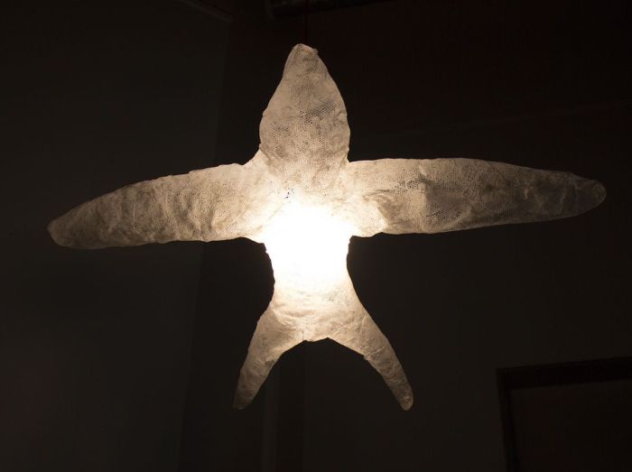 lintuvalaisin netti.jpg